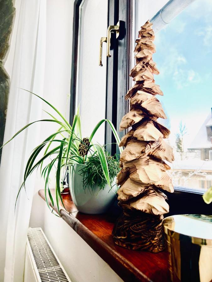 Willa Tulula Kościelisko Exteriör bild
